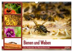 Bienen und Waben (Wandkalender 2024 DIN A3 quer), CALVENDO Monatskalender von Wilms,  Barbara