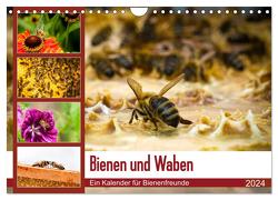 Bienen und Waben (Wandkalender 2024 DIN A4 quer), CALVENDO Monatskalender von Wilms,  Barbara