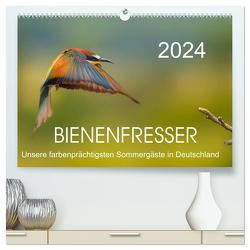 Bienenfresser, unsere farbenprächtigsten Sommergäste in Deutschland (hochwertiger Premium Wandkalender 2024 DIN A2 quer), Kunstdruck in Hochglanz von Will,  Thomas