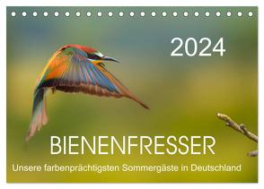 Bienenfresser, unsere farbenprächtigsten Sommergäste in Deutschland (Tischkalender 2024 DIN A5 quer), CALVENDO Monatskalender von Will,  Thomas