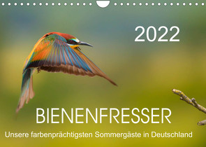 Bienenfresser, unsere farbenprächtigsten Sommergäste in Deutschland (Wandkalender 2022 DIN A4 quer) von Will,  Thomas