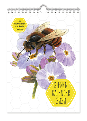 Bienenkalender 2020 von Pustelny,  Nicole