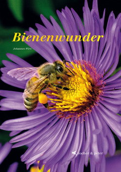 Bienenwunder von Wirz,  Johannes