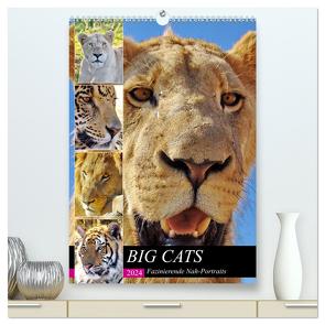 BIG CATS Fazinierende Nah-Portraits (hochwertiger Premium Wandkalender 2024 DIN A2 hoch), Kunstdruck in Hochglanz von Fraatz,  Barbara