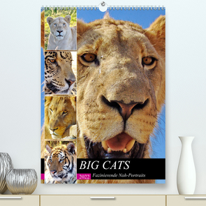 BIG CATS Fazinierende Nah-Portraits (Premium, hochwertiger DIN A2 Wandkalender 2022, Kunstdruck in Hochglanz) von Fraatz,  Barbara