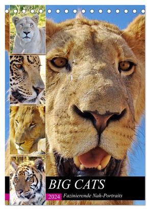 BIG CATS Fazinierende Nah-Portraits (Tischkalender 2024 DIN A5 hoch), CALVENDO Monatskalender von Fraatz,  Barbara