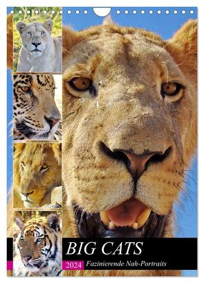 BIG CATS Fazinierende Nah-Portraits (Wandkalender 2024 DIN A4 hoch), CALVENDO Monatskalender von Fraatz,  Barbara