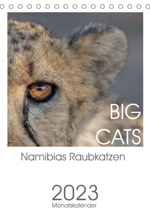 BIG CATS – Namibias Raubkatzen (Tischkalender 2023 DIN A5 hoch) von van der Wiel,  Irma