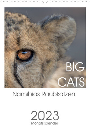 BIG CATS – Namibias Raubkatzen (Wandkalender 2023 DIN A3 hoch) von van der Wiel,  Irma