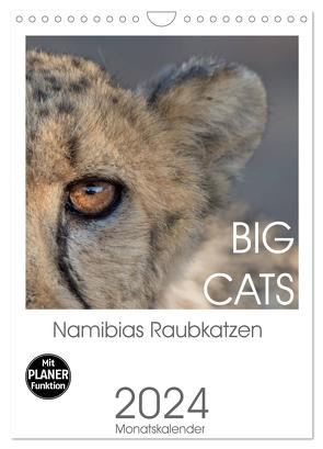 BIG CATS – Namibias Raubkatzen (Wandkalender 2024 DIN A4 hoch), CALVENDO Monatskalender von van der Wiel,  Irma