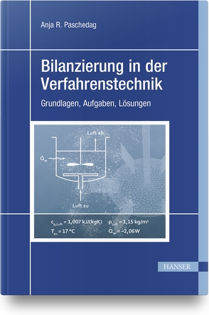 Bilanzierung in der Verfahrenstechnik von Paschedag,  Anja R.