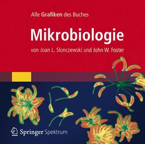 Bild-DVD, Mikrobiologie von Foster,  John W., Slonczewski,  Joan L.