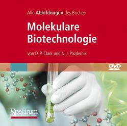 Bild-DVD, Molekulare Biotechnologie, Die Abbildungen des Buches von Clark,  David, Held,  Andreas, Pazdernik,  Nanette Bild-DVD, Molekulare Biotechnologie, Die Abbildungen des Buches von Clark,  David, Held,  Andreas, Pazdernik,  Nanette