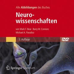 Bild-DVD, Neurowissenschaften von Bear,  Mark F., Connors,  Barry W., Held,  Andreas, Hornung,  Cathrine, Lange,  Christina, Maxam,  Gudrun, Niehaus-Osterloh,  Monika, Paradiso,  Michael A., Seidler,  Lothar