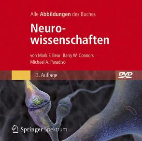 Bild-DVD, Neurowissenschaften von Bear,  Mark F., Connors,  Barry W., Held,  Andreas, Hornung,  Cathrine, Lange,  Christina, Maxam,  Gudrun, Niehaus-Osterloh,  Monika, Paradiso,  Michael A., Seidler,  Lothar