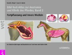 Bild-Text-Atlas zur Anatomie und Klinik des Pferdes von Dirig,  Jeffrey B, Hakola,  Susan, Hakola,  Susan E., Kölle,  Sabine, Reese,  Sven, Riegel,  Ronald