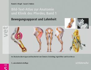 Bild-Text-Atlas zur Anatomie und Klinik des Pferdes von Elter,  Ingrid, Hakola,  Susan E., Reese,  Sven, Riegel,  Ronald J., Schickling,  Clemens