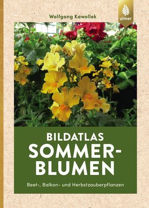 Bildatlas Sommerblumen von Kawollek,  Wolfgang