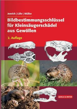 Bildbestimmungsschlüssel für Kleinsäugerschädel aus Gewöllen von Jenrich,  Joachim, Löhr,  Paul-Walter, Müller,  Franz