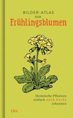 Bilder-Atlas der Frühlingsblumen