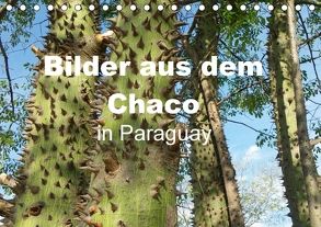 Bilder aus dem Chaco in Paraguay (Tischkalender 2018 DIN A5 quer) von Kristin von Montfort,  Gräfin