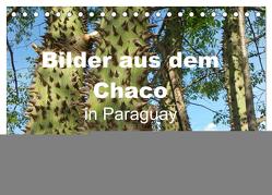 Bilder aus dem Chaco in Paraguay (Tischkalender 2024 DIN A5 quer), CALVENDO Monatskalender von Kristin von Montfort,  Gräfin