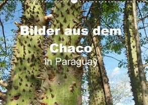 Bilder aus dem Chaco in Paraguay (Wandkalender 2018 DIN A3 quer) von Kristin von Montfort,  Gräfin