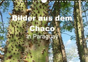 Bilder aus dem Chaco in Paraguay (Wandkalender 2019 DIN A4 quer) von Kristin von Montfort,  Gräfin