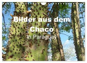 Bilder aus dem Chaco in Paraguay (Wandkalender 2024 DIN A4 quer), CALVENDO Monatskalender von Kristin von Montfort,  Gräfin