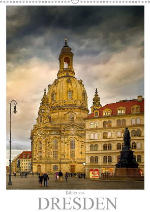 Bilder aus Dresden (Wandkalender 2021 DIN A2 hoch) von Meutzner,  Dirk