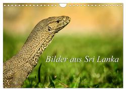 Bilder aus Sri Lanka (Wandkalender 2024 DIN A4 quer), CALVENDO Monatskalender von Ziemer,  Astrid