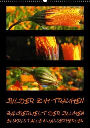 BILDER ZUM TRÄUMEN – ZAUBERWELT DER BLUMEN – EISKRISTALLE & WASSERPERLEN (Posterbuch DIN A2 hoch) von & Bernhard Kiesow hinter-dem-horizont-media.net,  Tanja