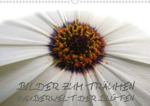 BILDER ZUM TRÄUMEN: ZAUBERWELT DER BLÜTEN (Posterbuch DIN A3 quer) von & Bernhard Kiesow hinter-dem-horizont-media.net,  Tanja