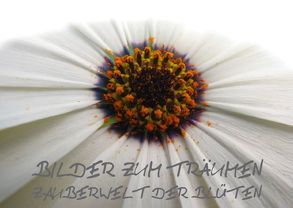 BILDER ZUM TRÄUMEN: ZAUBERWELT DER BLÜTEN (Posterbuch DIN A4 quer) von & Bernhard Kiesow hinter-dem-horizont-media.net,  Tanja