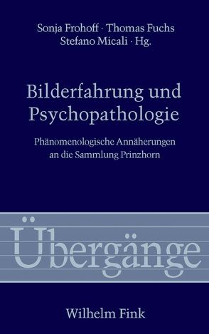 Bilderfahrung und Psychopathologie von Bernet,  Rudolf, Boehm,  Gottfried, Essbach,  Wolfgang, Frohoff,  Sonja, Fuchs,  Thomas, Kristensen,  Stefan, Micali,  Stefano, Richir,  Marc, Sollberger,  Daniel, Waldenfels,  Bernhard