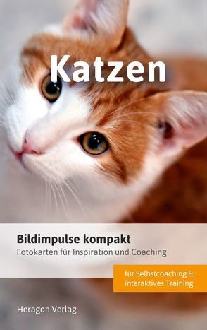 Bildimpulse kompakt: Katzen von Pack,  Bodo