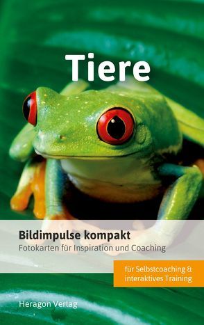 Bildimpulse kompakt: Tiere von Pack,  Bodo