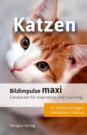 Bildimpulse maxi: Katzen von Pack,  Bodo