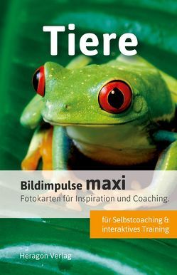 Bildimpulse maxi: Tiere von Pack,  Bodo