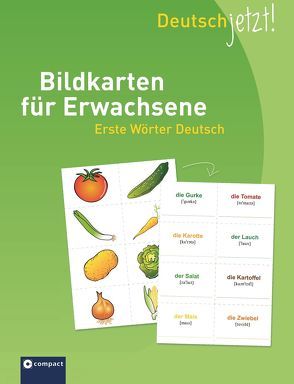 Deutsch jetzt! Bildkarten für Erwachsene – Erste Wörter Deutsch von Fischer,  Anke