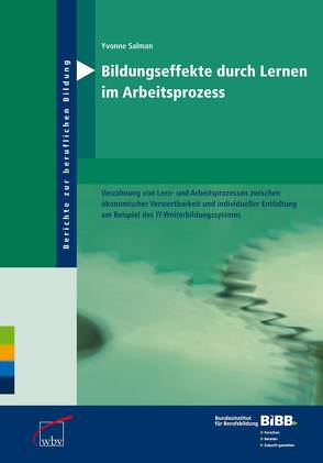 Bildungseffekte durch Lernen im Arbeitsprozess Verzahnung von Lern- und Arbeitsprozessen von Salman,  Yvonne