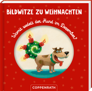 Bildwitze zu Weihnachten von Petersen,  Caroline, Witzka,  Heide