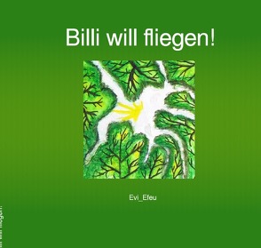 Billi will fliegen! von Nürnberg,  Jessica