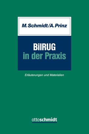 BilRUG in der Praxis von Prinz,  Andrea, Schmidt,  Marc