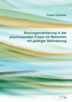 Bindungsorientierung in der psychosozialen Praxis mit Menschen mit geistiger Behinderung von Callmeier,  Tobias