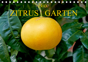 Bio Zitrus Garten (Tischkalender 2021 DIN A5 quer) von Rauchenwald,  Martin