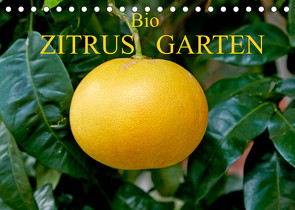Bio Zitrus Garten (Tischkalender 2022 DIN A5 quer) von Rauchenwald,  Martin