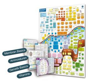 Biochemie Basics II, DIN A2 (gefaltet auf A4) von Blumentritt,  Sebastian