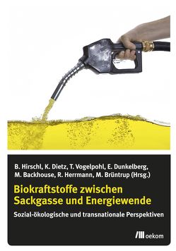 Biokraftstoffe zwischen Sackgasse und Energiewende von Backhouse,  Maria, Dietz,  Kristina, Dunkelberg,  Elisa, Herrmann,  Raoul, Hirschl,  Bernd, Vogelpohl,  Thomas