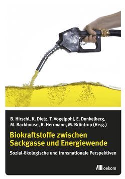 Biokraftstoffe zwischen Sackgasse und Energiewende von Backhouse,  Maria, Brüntrup,  Michael, Dietz,  Kristina, Dunkelberg,  Elisa, Herrmann,  Raoul, Hirschl,  Bernd, Vogelpohl,  Thomas